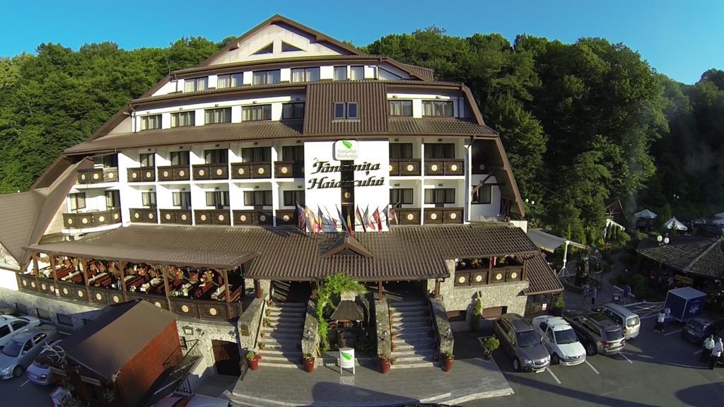 Hotel Fantanita Haiducului Bradu  Dış mekan fotoğraf