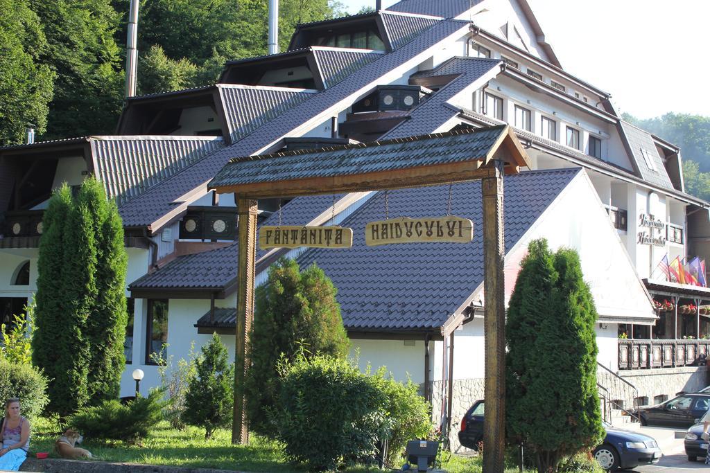 Hotel Fantanita Haiducului Bradu  Dış mekan fotoğraf