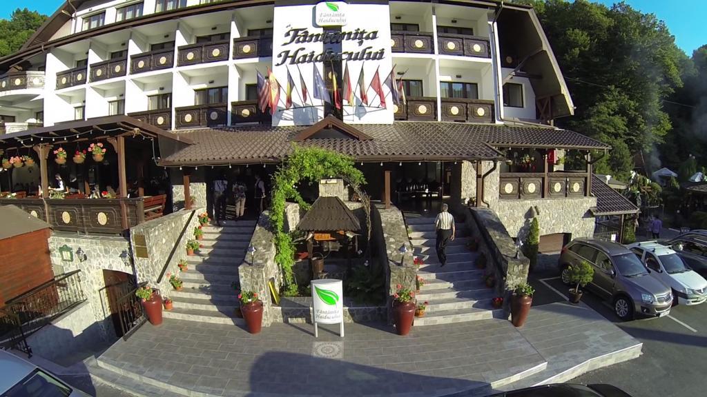 Hotel Fantanita Haiducului Bradu  Dış mekan fotoğraf