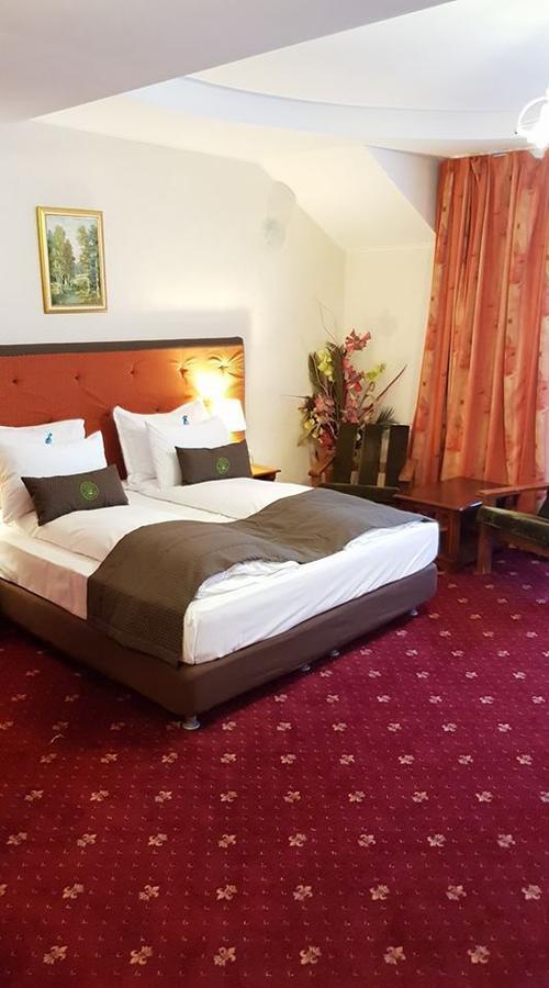 Hotel Fantanita Haiducului Bradu  Dış mekan fotoğraf