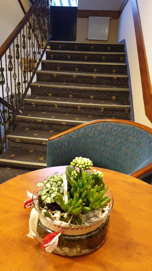 Hotel Fantanita Haiducului Bradu  Dış mekan fotoğraf